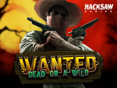 Wild casino online3